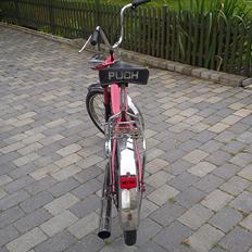 Puch Maxi P (E 50)