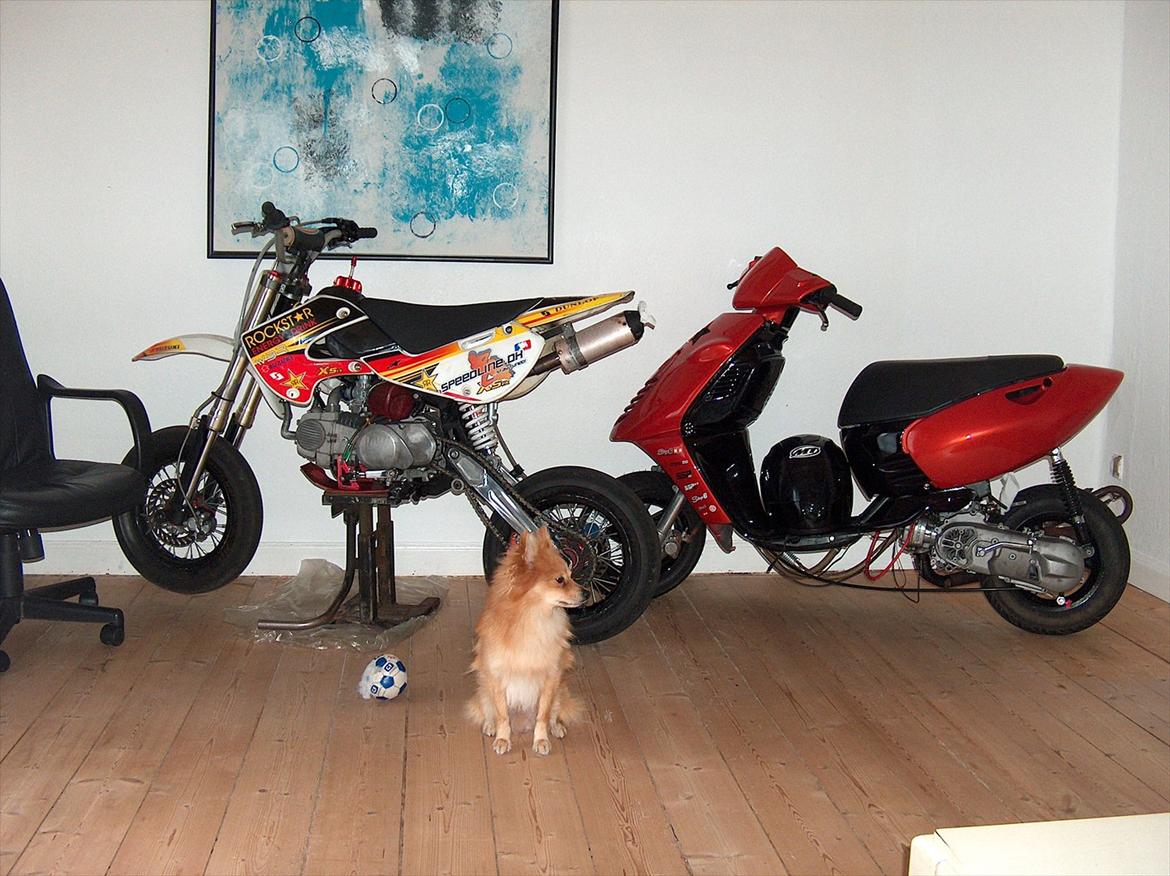 Aprilia Sonic TS2  billede 1