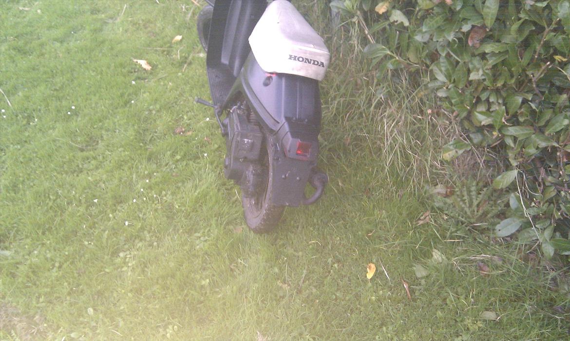 Honda melody billede 9