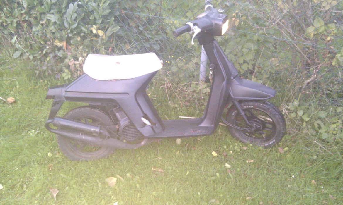 Honda melody billede 11