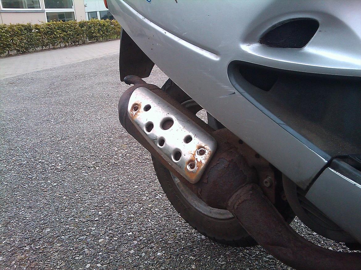 Aprilia Amico billede 9