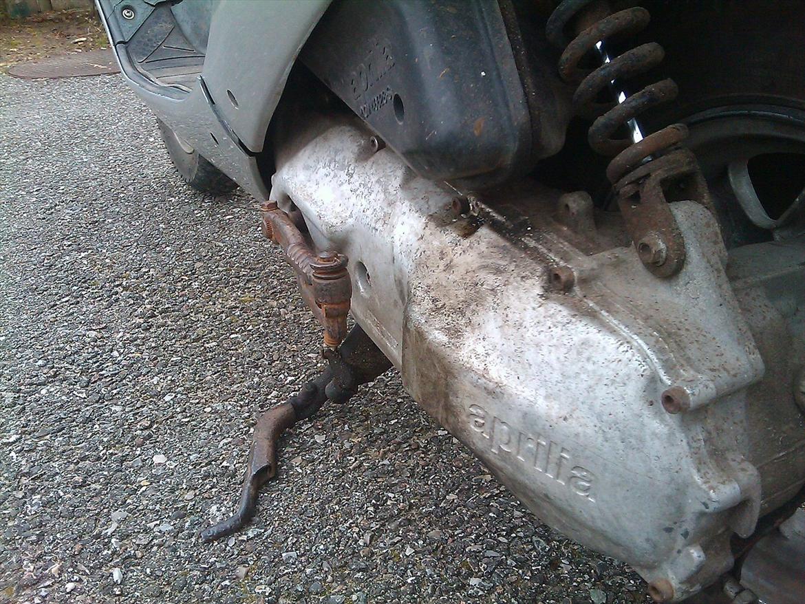 Aprilia Amico billede 13