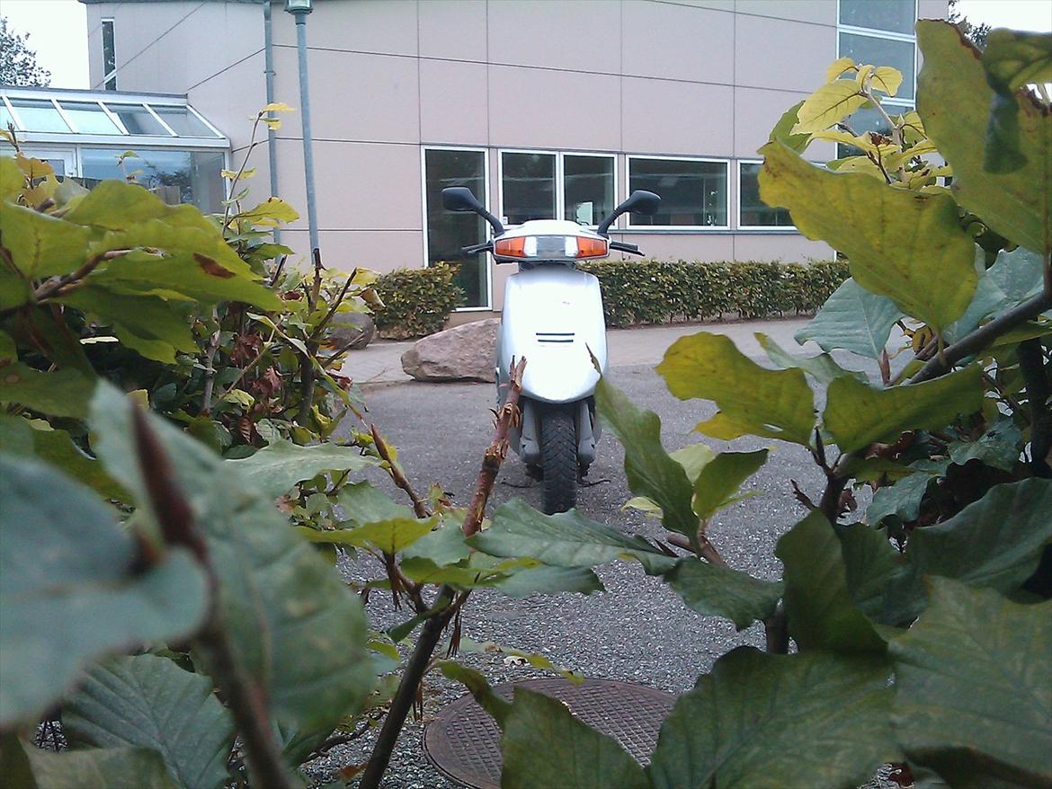 Aprilia Amico billede 14