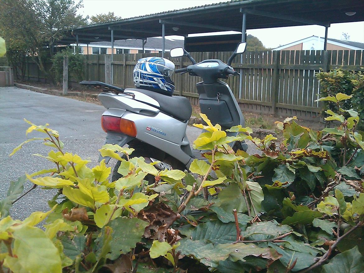 Aprilia Amico billede 16