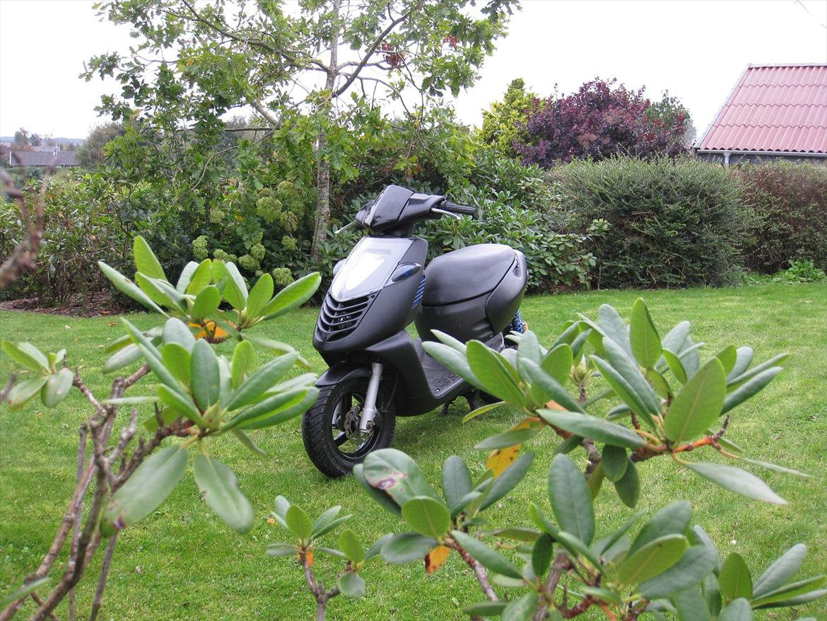 Aprilia Sonic GP  billede 2