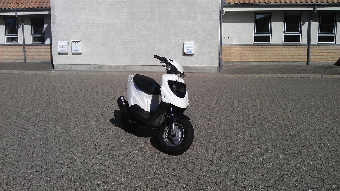 PGO Hot 50 billede 2