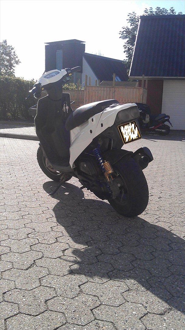 PGO Hot 50 billede 7