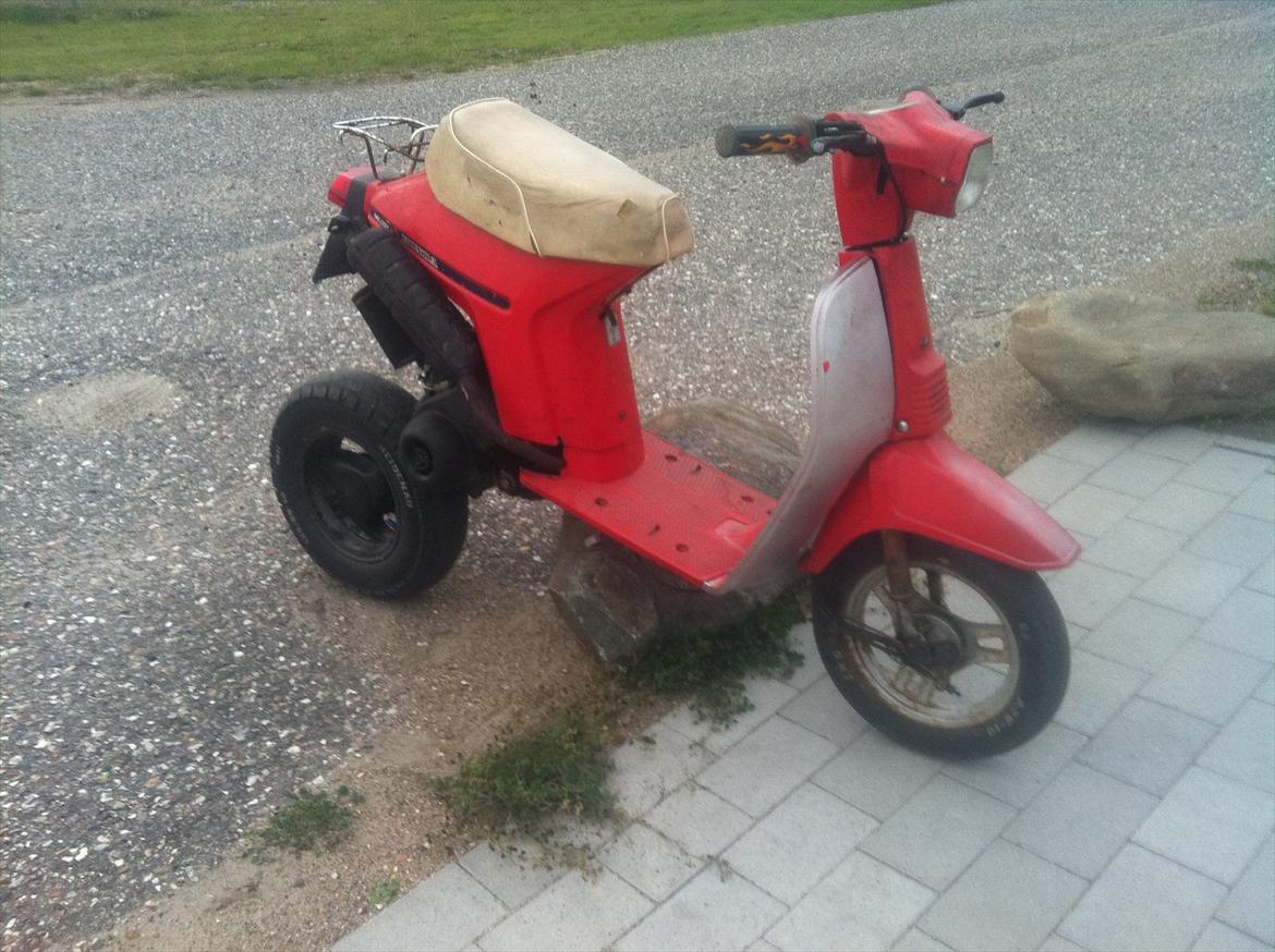 Honda melody (tidl. scooter) billede 1