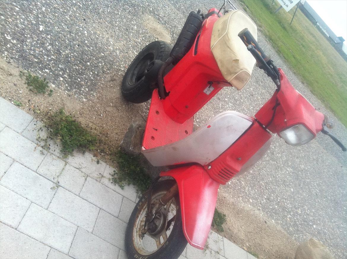 Honda melody (tidl. scooter) billede 7