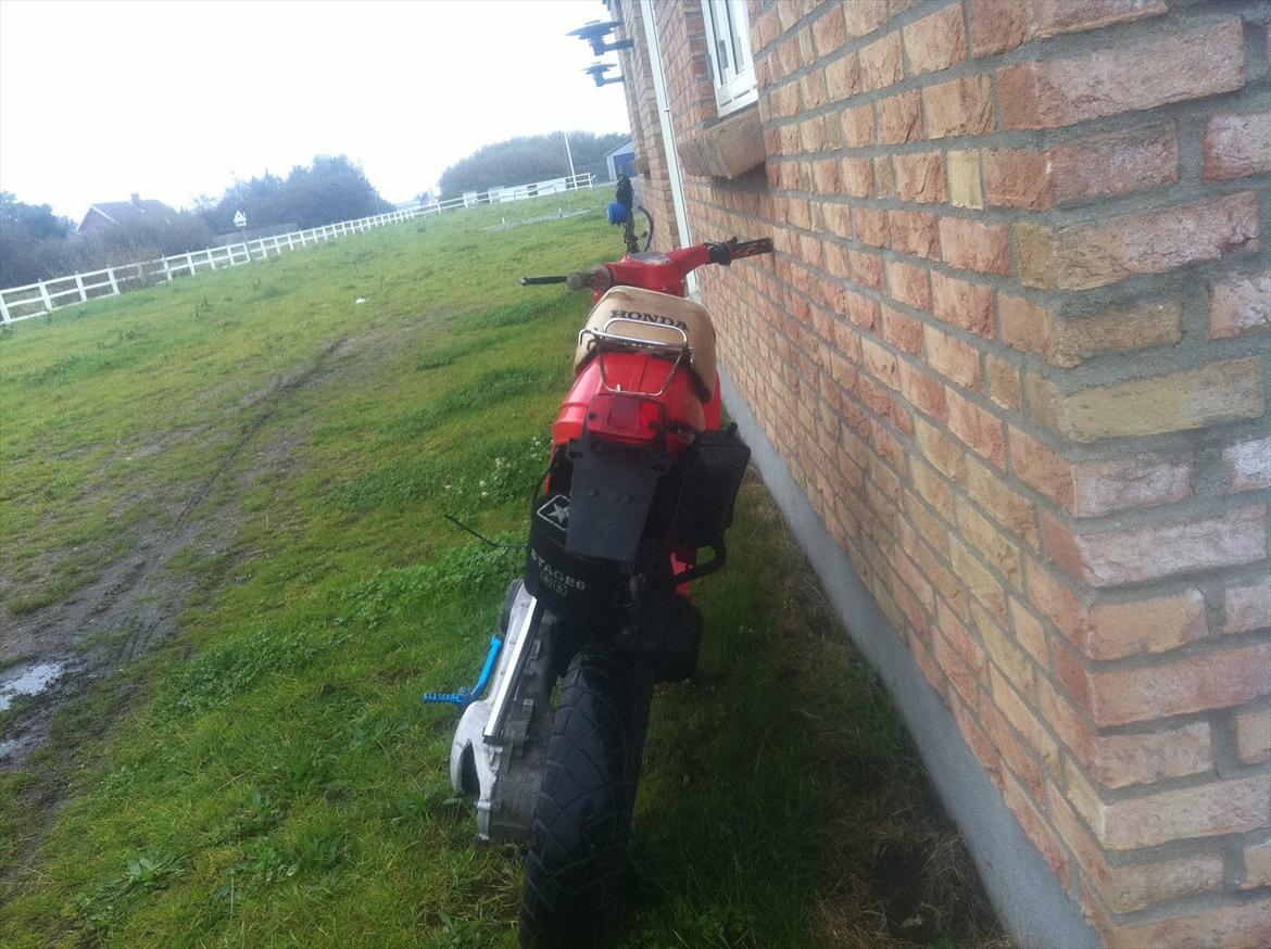 Honda melody (tidl. scooter) billede 12