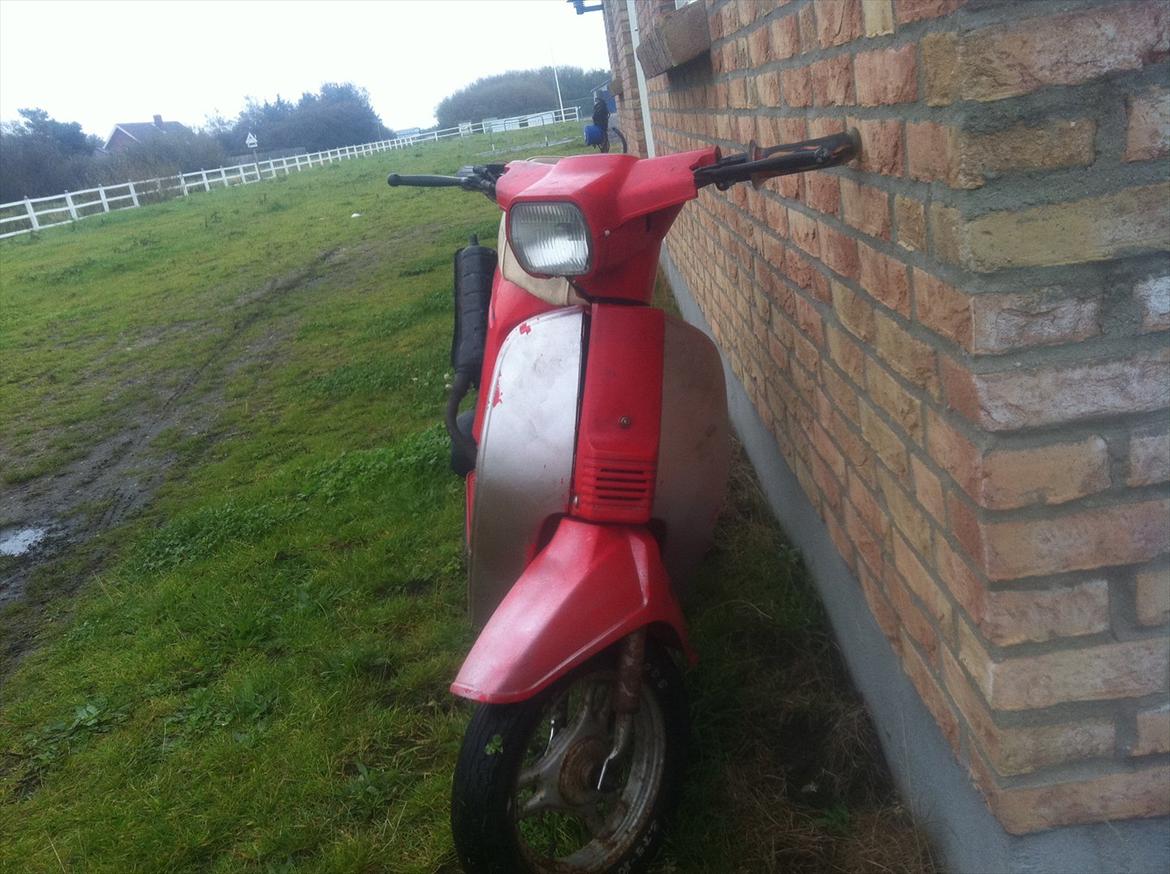 Honda melody (tidl. scooter) billede 16