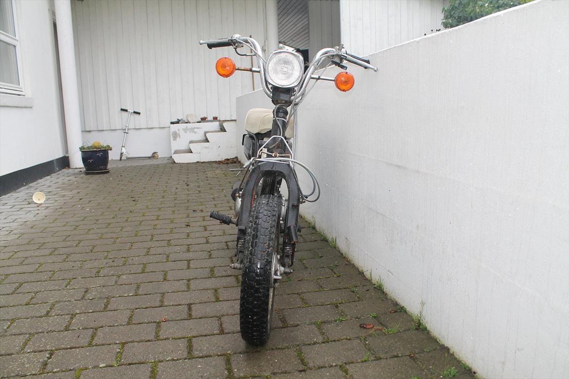 Suzuki Fz50 billede 4