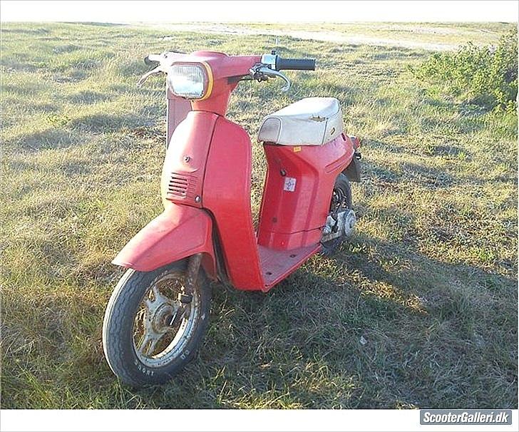 Honda Melody (Tidl. scooter) billede 1