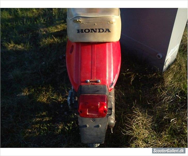 Honda Melody (Tidl. scooter) billede 3