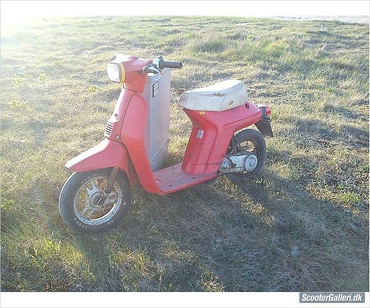 Honda Melody (Tidl. scooter) billede 6