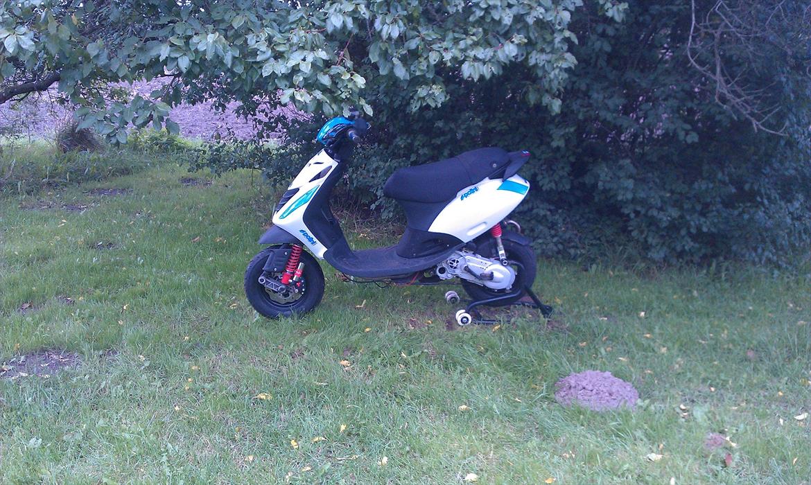 Piaggio Zip sp billede 7