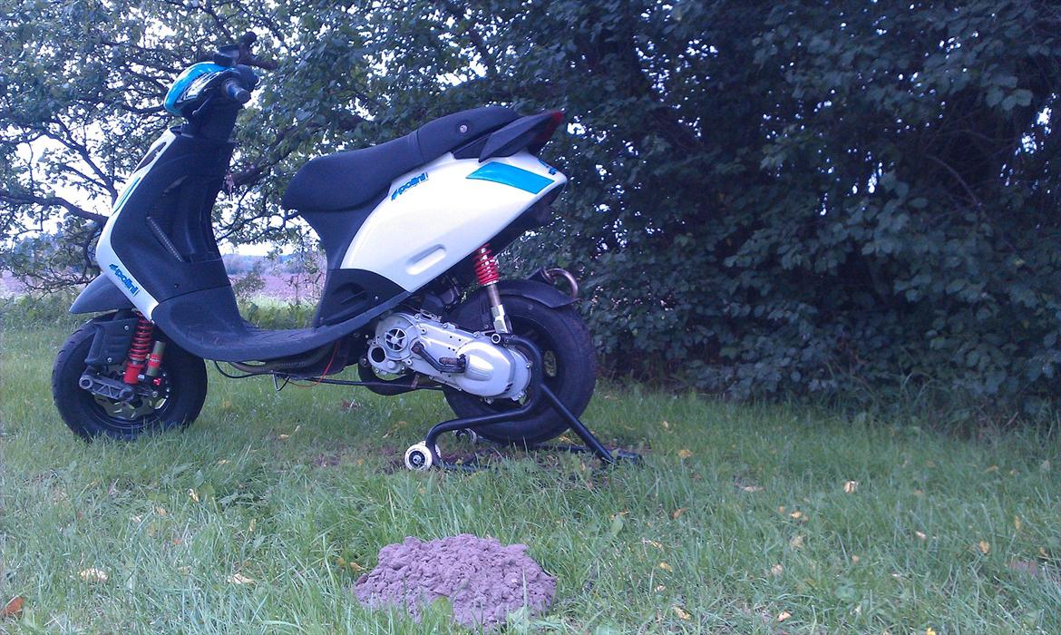 Piaggio Zip sp billede 10