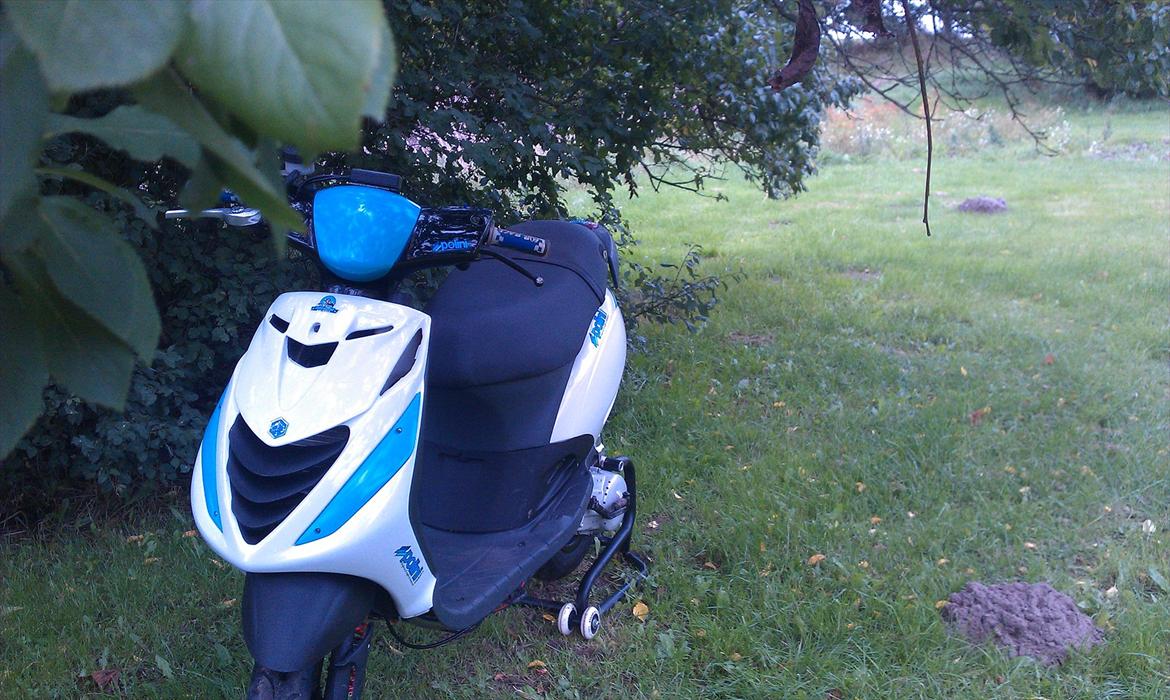 Piaggio Zip sp billede 12