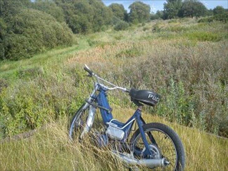 Puch maxi billede 10