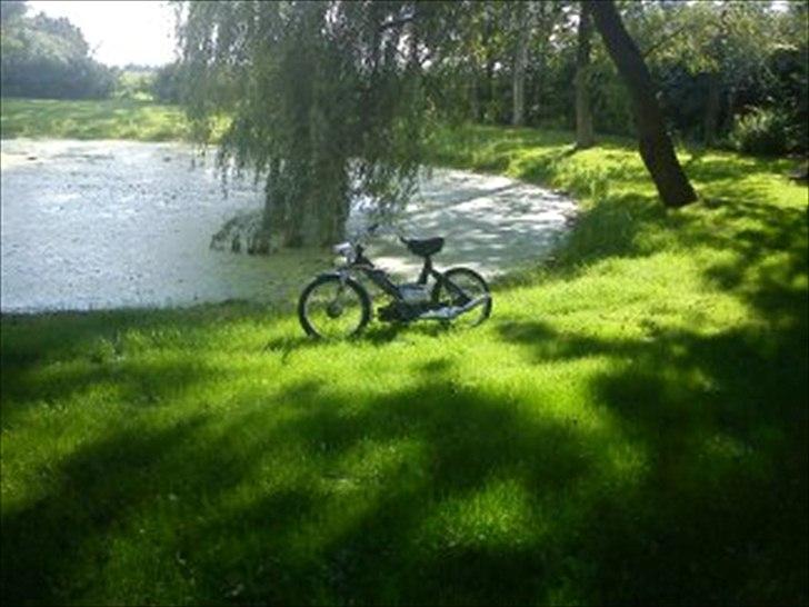 Puch maxi billede 12