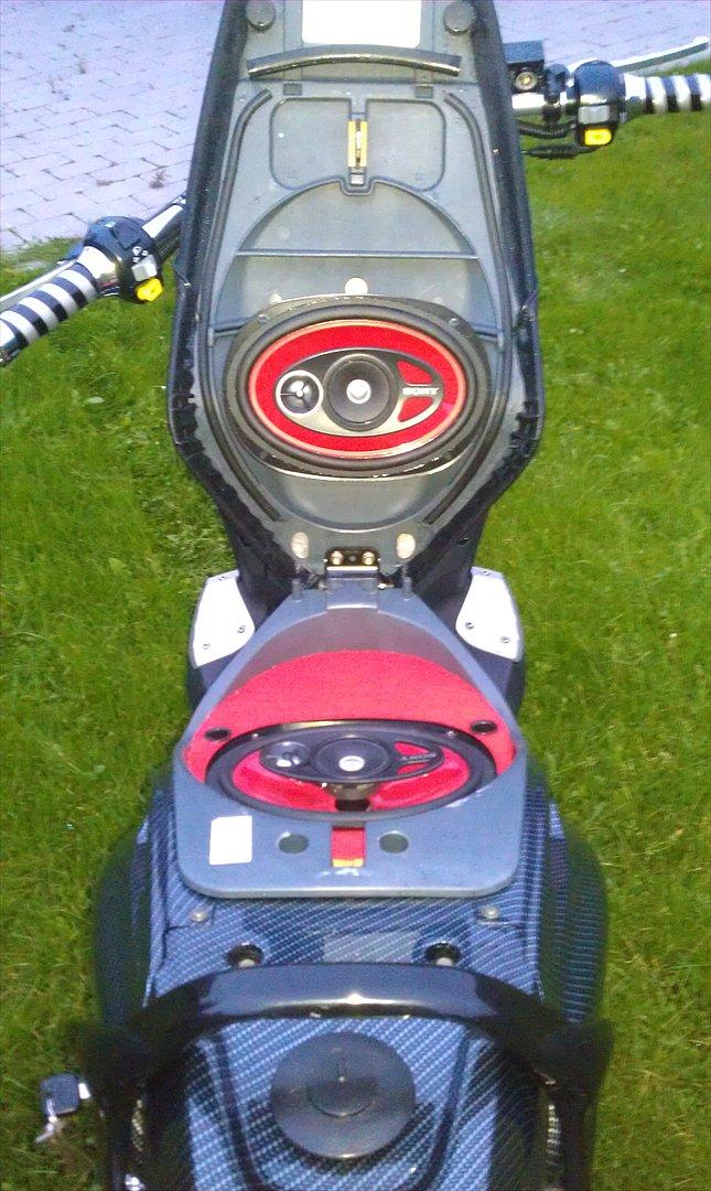 PGO Pmx Naked Carbon billede 6