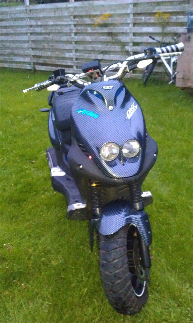 PGO Pmx Naked Carbon billede 7