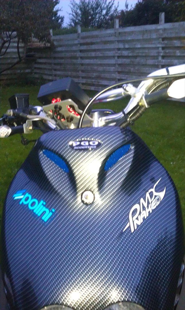 PGO Pmx Naked Carbon billede 8