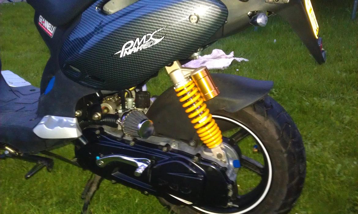 PGO Pmx Naked Carbon billede 1