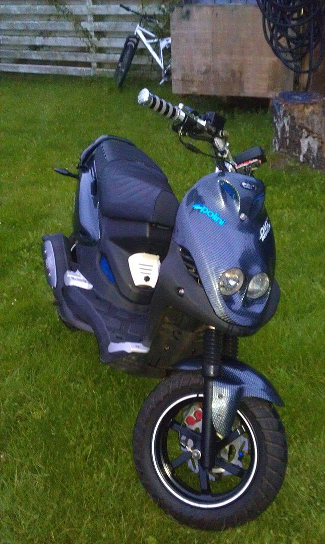 PGO Pmx Naked Carbon billede 12