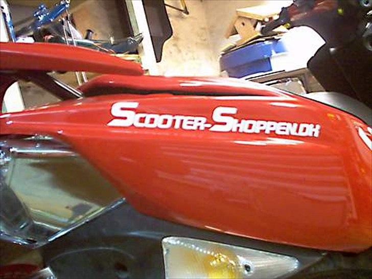 Peugeot Spedfight 2 WRC 307 billede 8