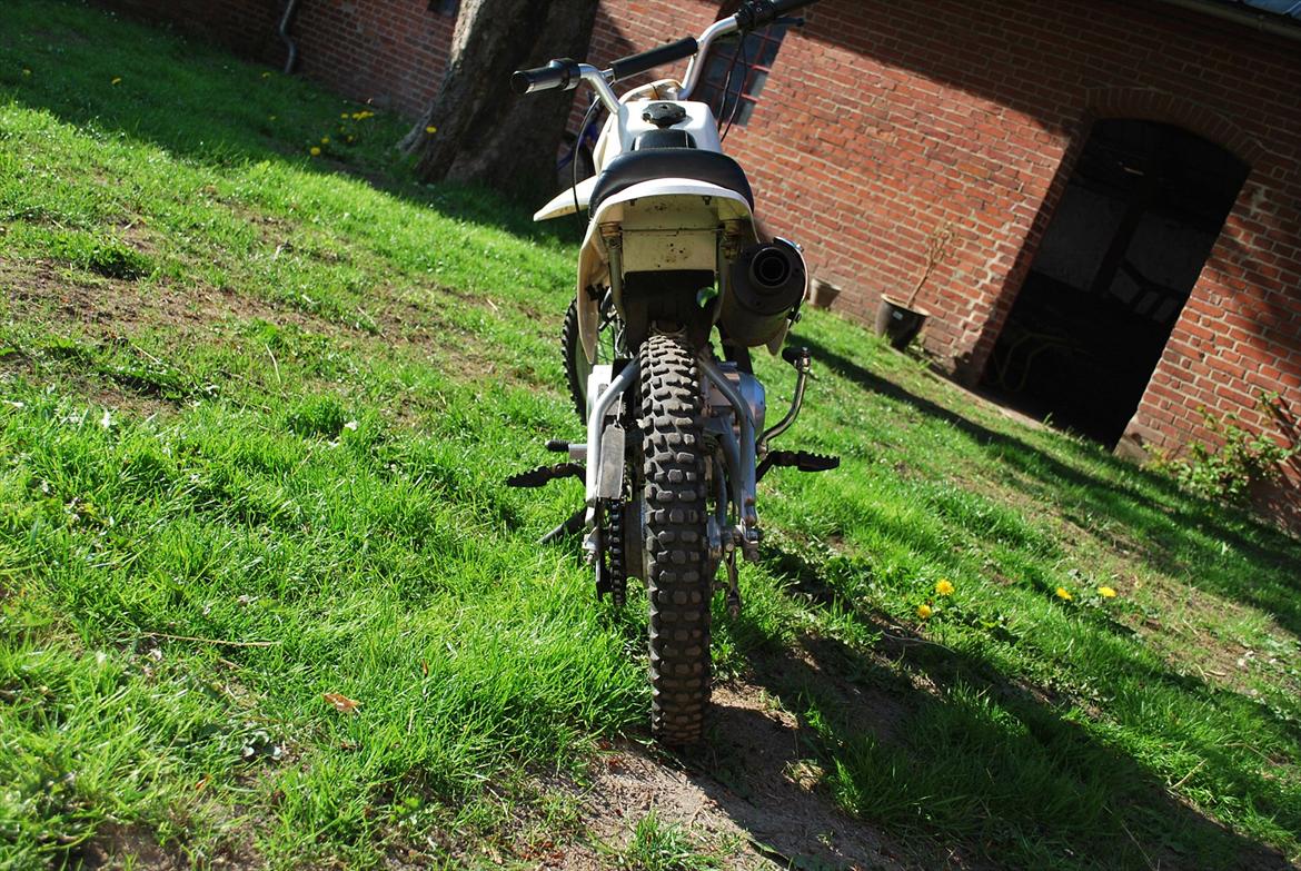 Lifan Mini dirtbike billede 8