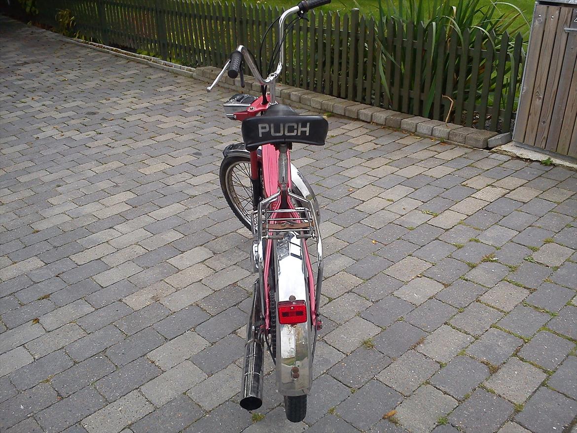 Puch Maxi P (E 50) billede 3