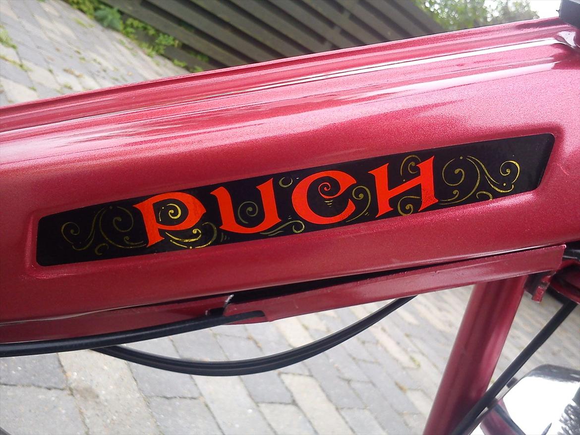 Puch Maxi P (E 50) billede 5