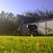 Yamaha Jog Space AC SD 