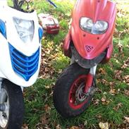 Gilera Stalker