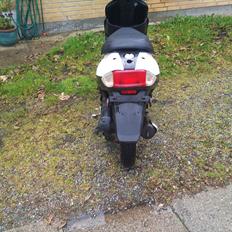 Giantco Sprint SOLGT!