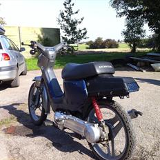 Honda Wallaroo