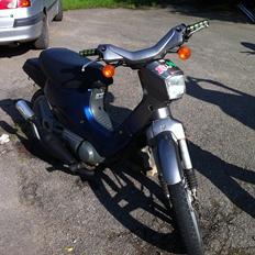 Honda Wallaroo