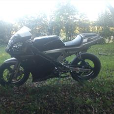 Derbi gpr