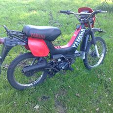 Yamaha sting 