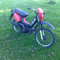 Yamaha sting 
