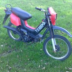 Yamaha sting 