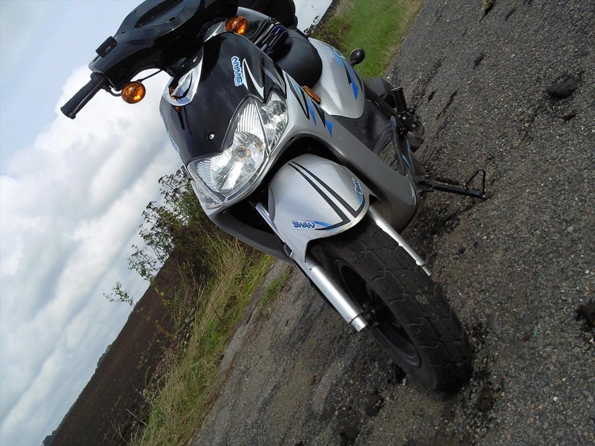 Leone swan billede 9