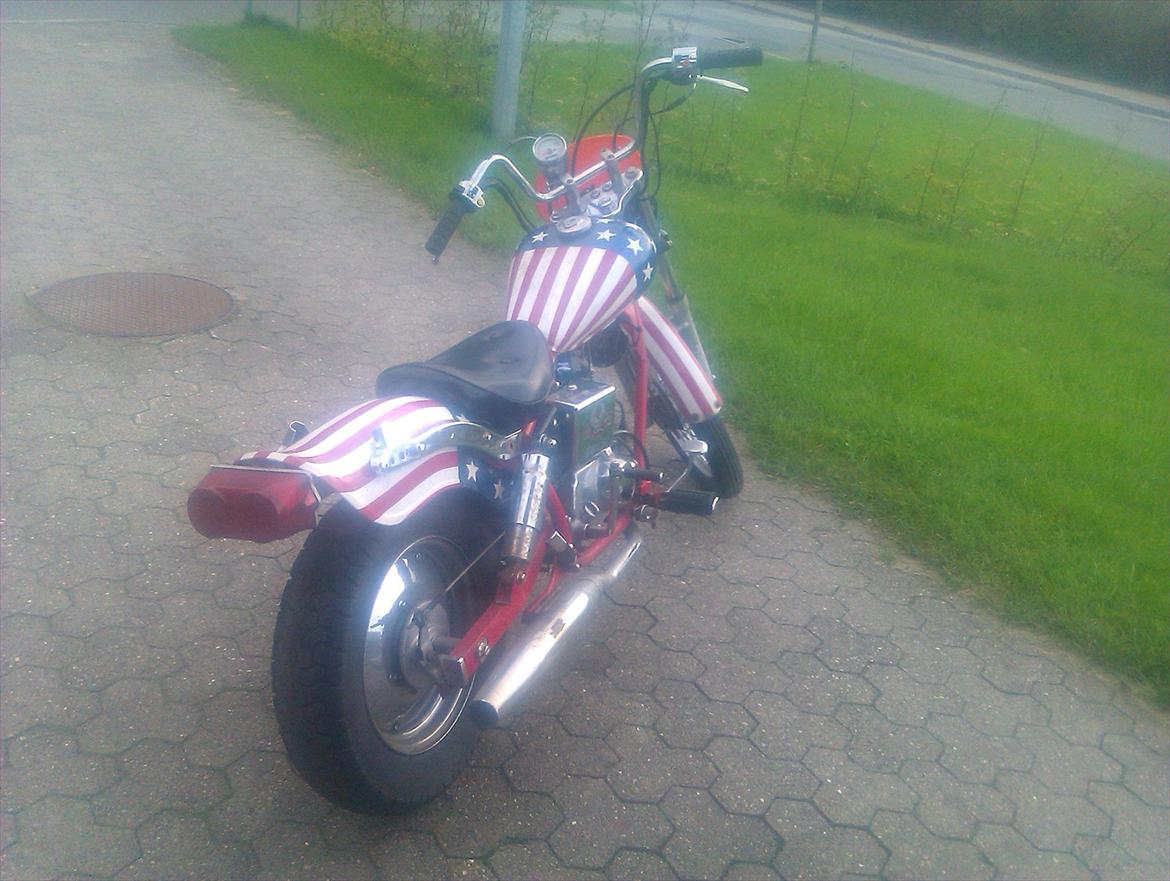 Regal Raptor. (SOLGT) billede 2