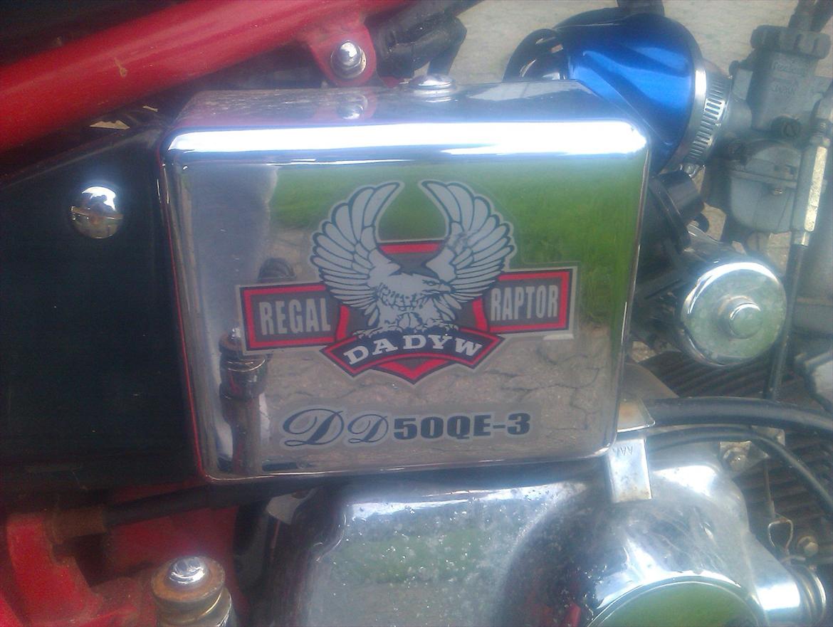 Regal Raptor. (SOLGT) billede 8