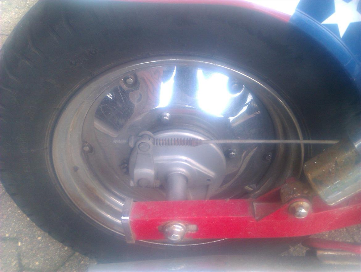 Regal Raptor. (SOLGT) billede 10