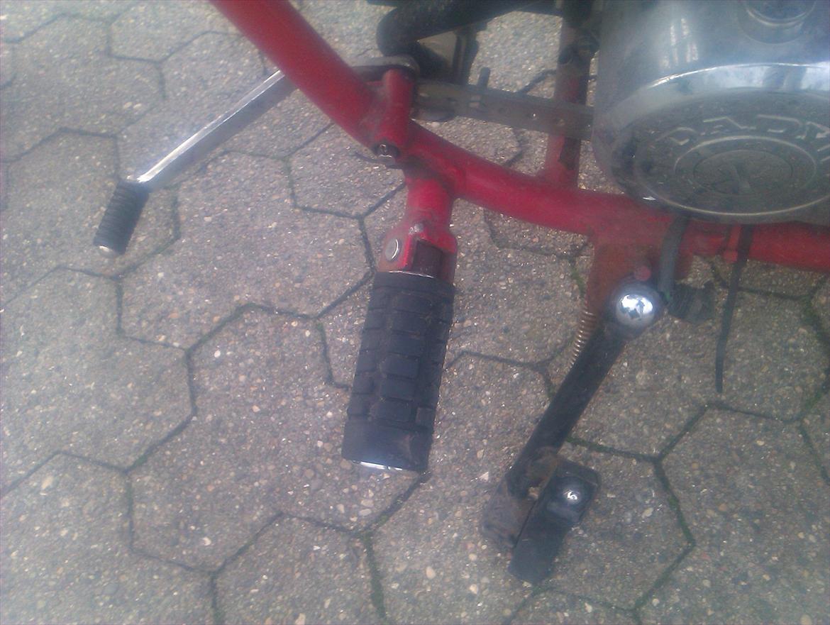 Regal Raptor. (SOLGT) billede 11