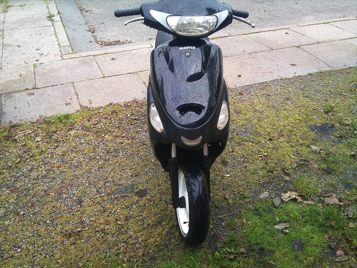 Giantco Sprint SOLGT! billede 5