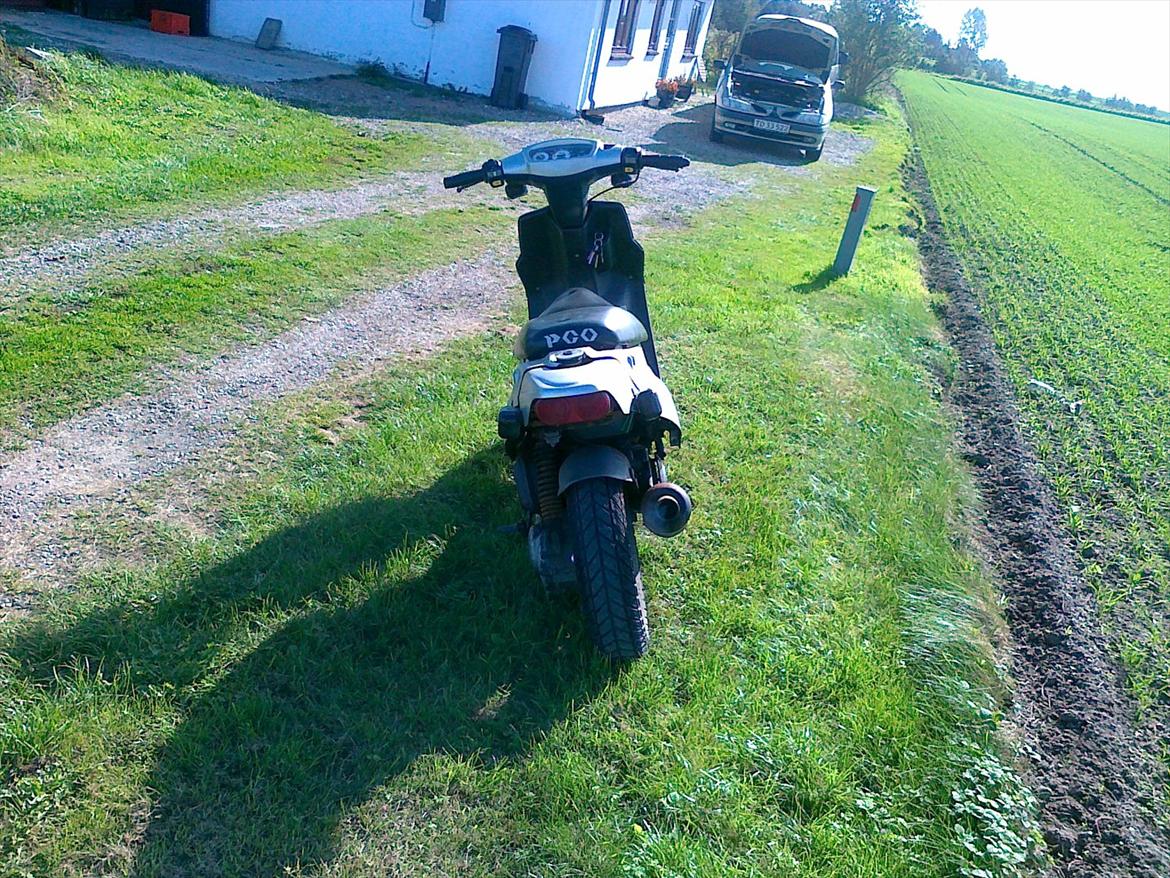 PGO Hot 50 billede 4