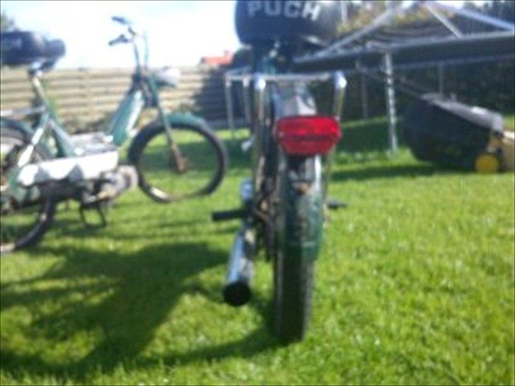 Puch Maxi (DØD) billede 4